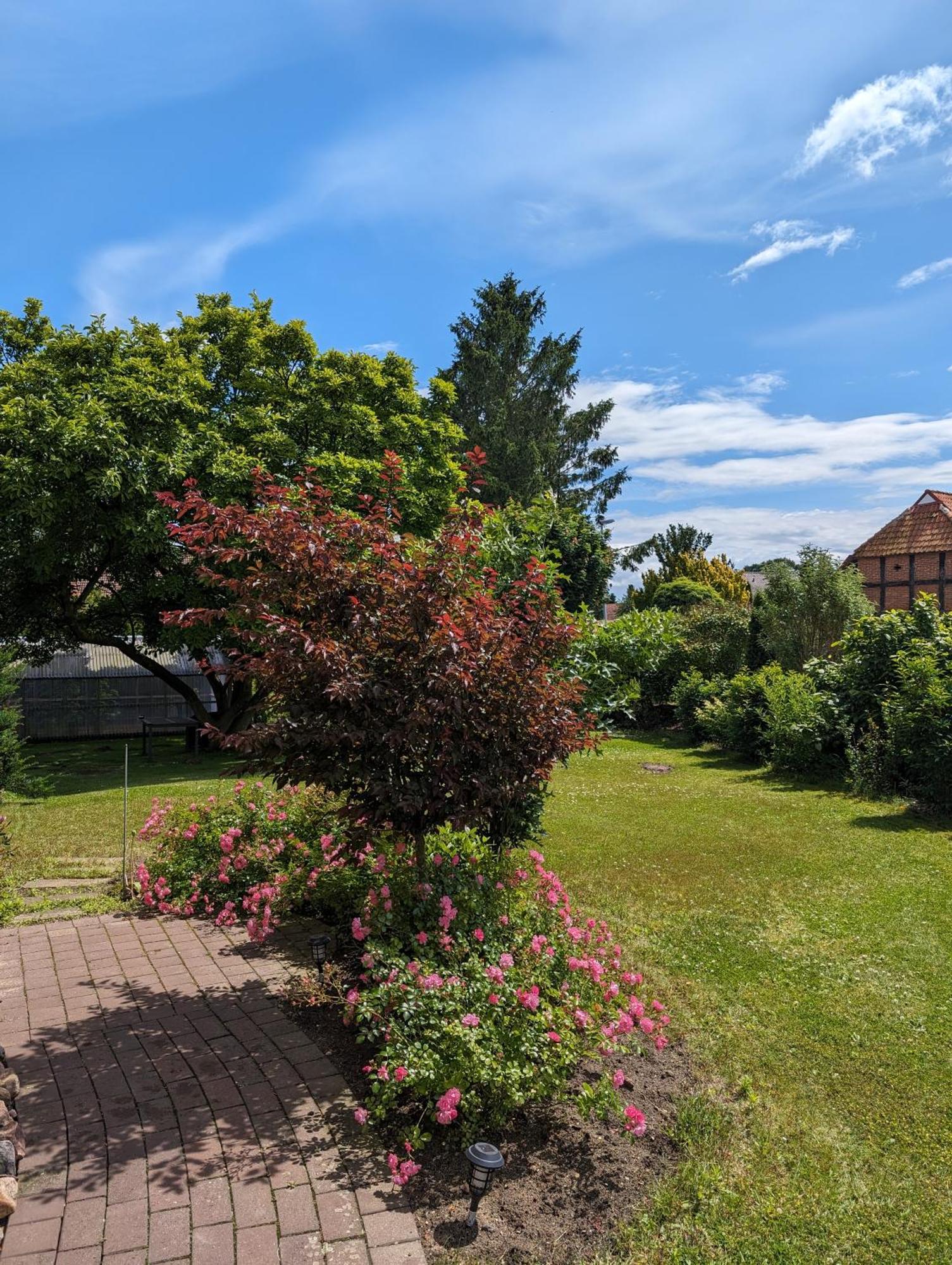 Ferienwohnung Bullersberg Balge Buitenkant foto